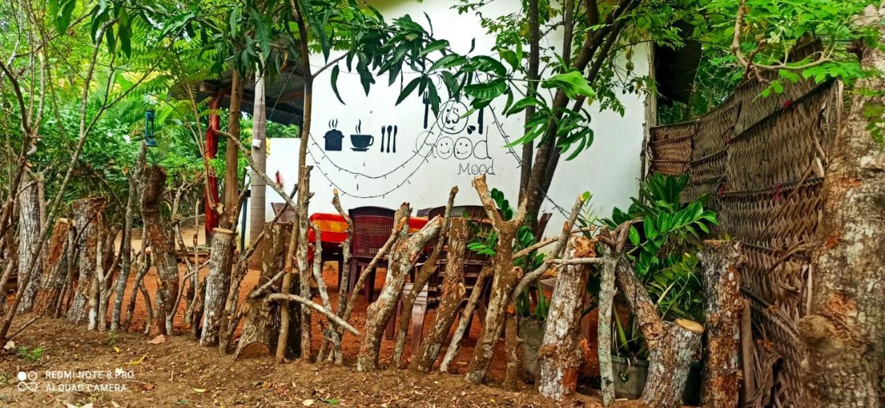 Sigiri Picaso Home Stay Sigiriya Exterior foto