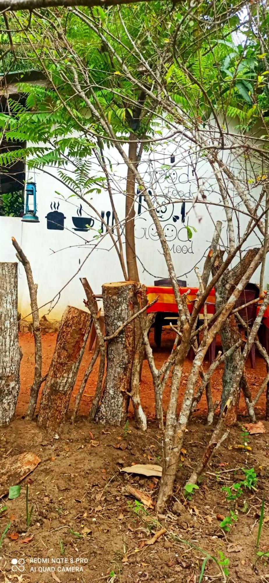 Sigiri Picaso Home Stay Sigiriya Exterior foto