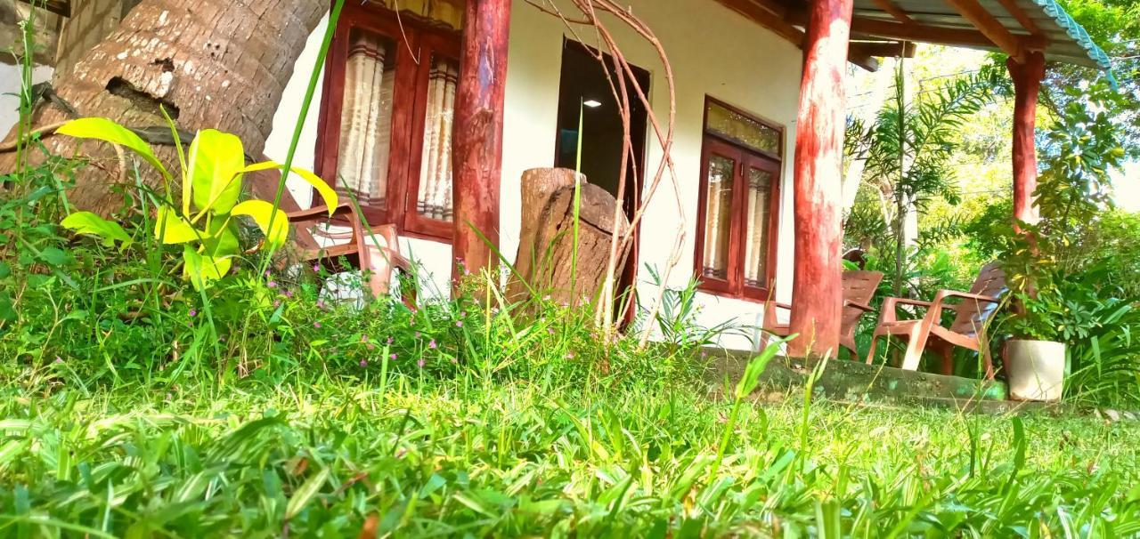 Sigiri Picaso Home Stay Sigiriya Exterior foto
